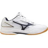 Mizuno Wave Drive 9 weiÃ/blau/gold 42,5