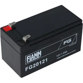 Fiam FG20121 12 Volt 1200 mAh 1 St.