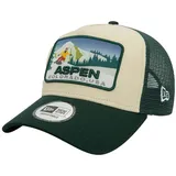 New Era A-Frame Mesh Trucker Cap grün