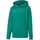 Puma Teamgoal 23 Casuals Hoody Jr Pullover, Pepper Green, 116