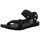 black 45,5