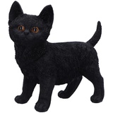 Nemesis Now Charmed Companion 20 cm, Kunstharz, schwarz, Katzenfigur, Schwarze Katze, Sammlerstück, Katzengeschenkware, gegossen aus feinstem Harz, fachmännisch handbemalt