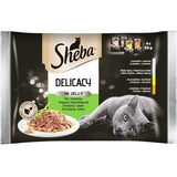 Sheba Delicacy in Jelly Mix 52x85 g