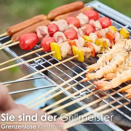 Steinborg Klappgrill schwarz