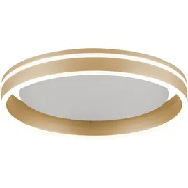 Paul Neuhaus Q-VITO 1 LED rund messing
