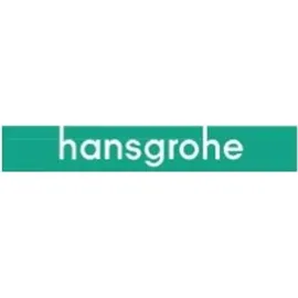 Hansgrohe Siebdichtung