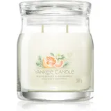 Yankee Candle White Spruce & Grapefruit 368 g