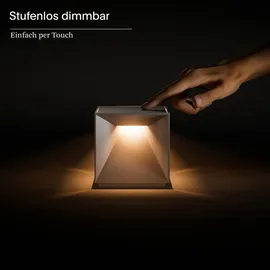 Sigor Nutalis Salbeigrün