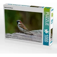 Calvendo Puzzle Spatz auf der Mauer 1000 Teile Puzzle