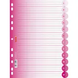 Brunnen Ringbuchregister DIN A4 12-teilig Pink