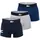 Lacoste Herren Boxershorts, 3er Pack - Trunks, Big Croc Print, Cotton Stretch Dunkelblau/Grau M