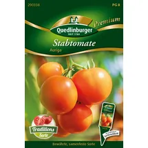 Quedlinburger 290338 Tomate Auriga (Tomatensamen)