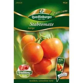 Quedlinburger 290338 Tomate Auriga (Tomatensamen)