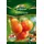 Quedlinburger 290338 Tomate Auriga (Tomatensamen)