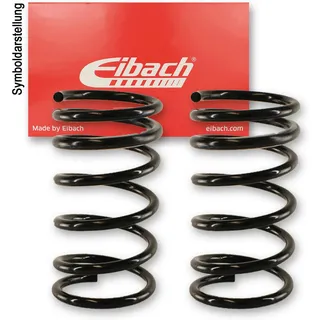 Eibach Pro-Kit E10-20-038-04-20