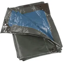 Bio Green Rainexo Abdeckplane 3 x 4 m Grün/Blau