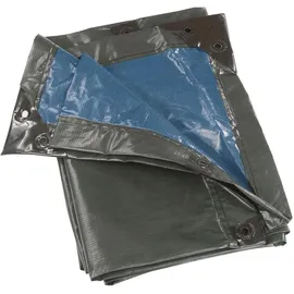 Bio Green Rainexo Abdeckplane 3 x 4 m Grün/Blau