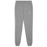 Puma teamGOAL Casuals Pants Damen Grau/Weiß S