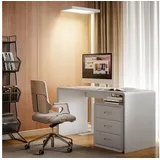 HOMCOM Stehlampe Stehleuchte mit Fernbedienung, Timing-Funktion, Nachtlicht, Dimmfunktion, LED fest integriert, Warmweiß, Kaltweiß, Leselampe Stehend für Schlafzimmer Wohnzimmer weiß