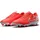 Hot Lava/White 40,5