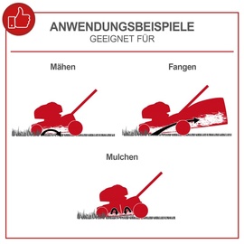 SCHEPPACH Benzin Rasenmäher MS225-56 6PS 6IN1 Schnittbreite 56cm