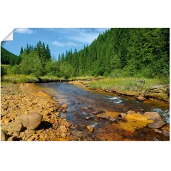 Artland Wandbild »Fluss Neagra, Caliman-Nationalpark«, Gewässer, (1 St.), als Alubild, Outdoorbild, Poster in verschied. Größen Artland Farbe Bild(er): bunt
