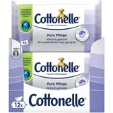 Cottonelle Feuchtes Toilettenpapier Pure Pflege, ultra-sensitive, 99% Wasser, 12 x 42 Tücher, parfümfrei & hypoallergen