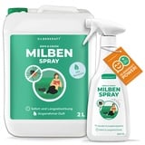 Silberkraft Milbenspray Sofa & Textil 2,5 l Spray