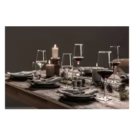 Schott Zwiesel Bordeaux Rotweinglas 0,68 l 2er Set