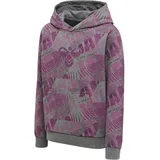 hummel hmlSPACE JAM Cuatro Hoodie Kinder 4758 amaranth 116