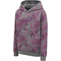 hummel hmlSPACE JAM Cuatro Hoodie Kinder 4758 amaranth 116