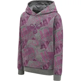 hummel hmlSPACE JAM Cuatro Hoodie Kinder 4758 amaranth 116