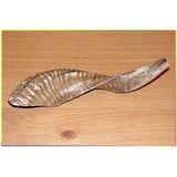 Special außergewöhnlich poliert 35,6 cm - 38,1 cm Koscher Rams Horn Shofar Israel Judaica