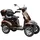 prestige home E-Seniorenmobil MAXXI 4.0 Elektromobil braun