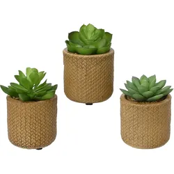 Kunstpflanze POT