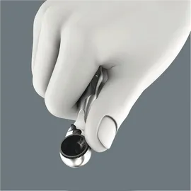 WERA Zyklop Mini 1 8001 A 2-tlg.