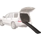 Zusammenklappbare Hunderampe 156cm