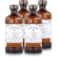Monin Sirup Paragon Timur Berry 485ml - Cocktails Milchshakes (4er Pack)