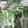 Excelsa Tischdecke Foliage 140 x 240 cm Baumwolle, Polyester