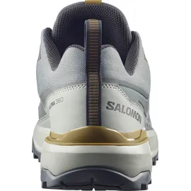Salomon X Ultra 360 Wanderschuhe - Sedona Sage / Wrought Iron / Brilliant - EU 44 2/3