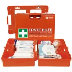 Gramm Medical Verbandkoffer DOMINO, leer, diverse Sprachen