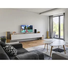 Hama "Pro" für DVB-T2, aktiv, automatische Verstärkung