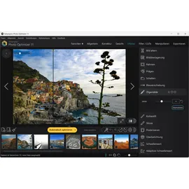 Ashampoo Photo Optimizer 11 ESD (deutsch) (PC)