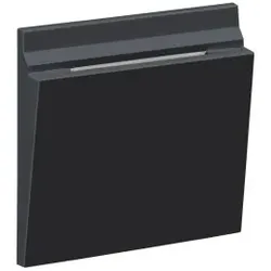 Legrand 765443 SEANO Abdeckung mechanischer Hotel-Card-Schalter, Farbe: Anthrazit lackiert