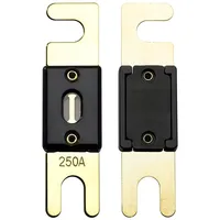 Offgridtec 250A 72V ANL Sicherung DIN43560/1 5er-Set