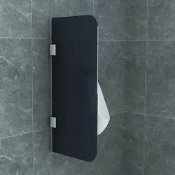 Aloni Glas Trennwand Urinal Schamwand Rauchglas 900x400 8mm