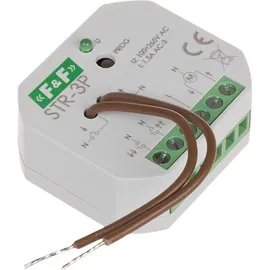 F&F Rolladensteuerung Rolläden 230V AC 320W F&F STR-3P