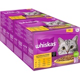 whiskas Multipack 1+ Geflügel Auswahl in Sauce 48 Portionsbeuteln (2x24x85g)