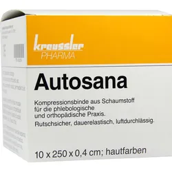 AUTOSANA 10cmx2,5mx0,4cm hautf. Binden 1 St Binden