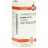DHU-ARZNEIMITTEL CAMPHORA D12